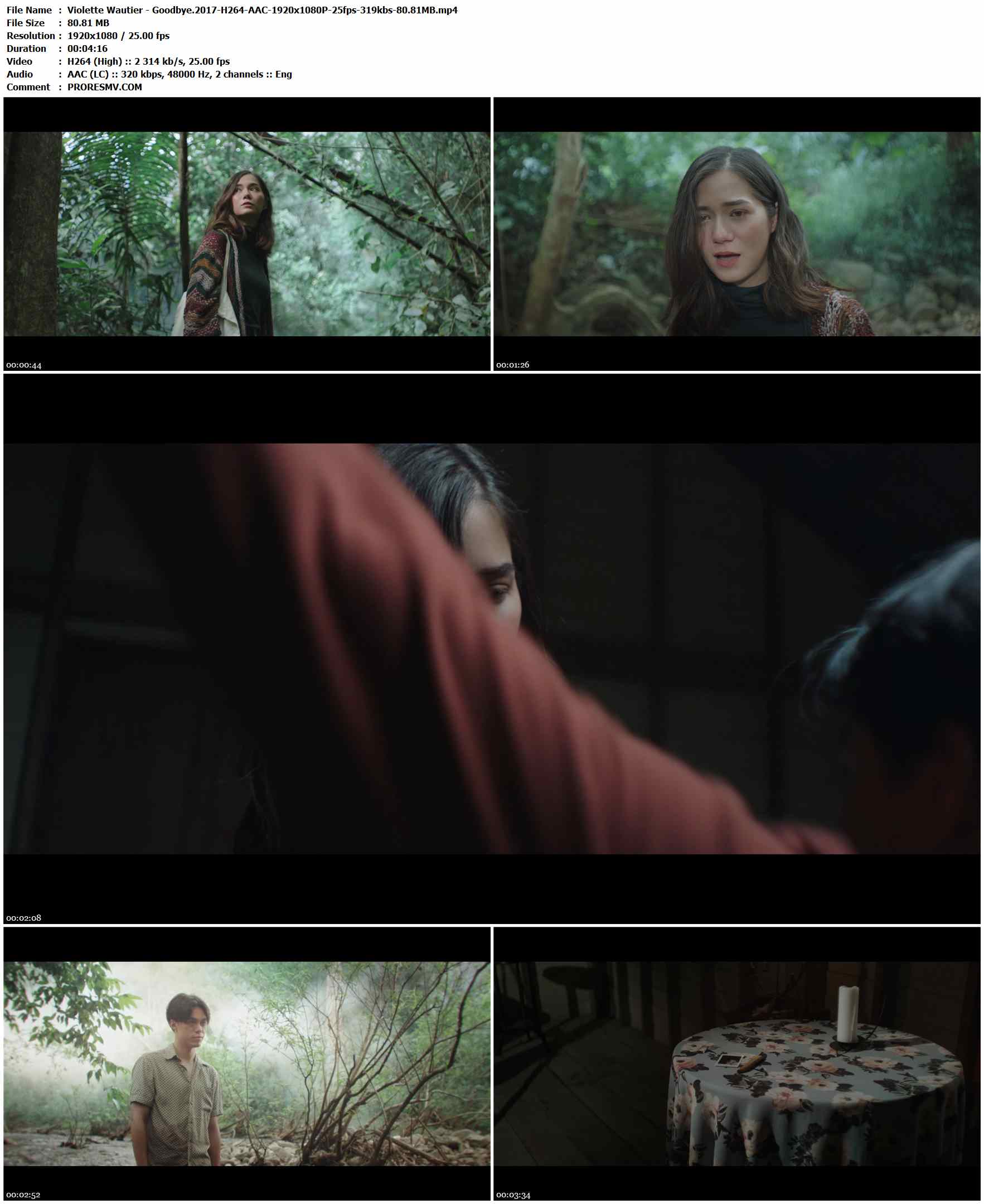 Violette Wautier - Goodbye.2017-H264-AAC-1920x1080P-25fps-319kbs-80.81MB官方MV_高清MV